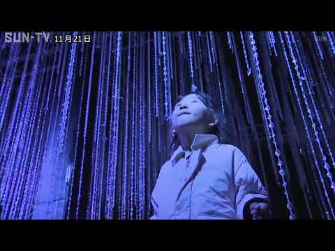 平和を願い夜の姫路城を光で彩る　ライトアップイベント