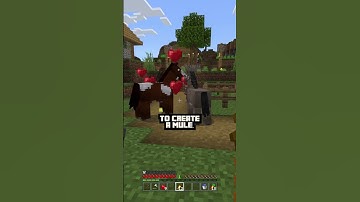 🐎Minecraft Horse, Donkey, & Mule 🌞