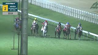 Vidéo de la course PMU PREMIO FIRST CAPTAIN