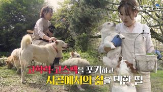 [풀버전] 개들을 위해 도시를 포기하고 시골로 내려온 수의사｜류수영의 동물티비 EP2