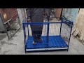 Goat Kid Cage 4x2x2.5 Heavy Duty with Plastic Floor | Episode 634