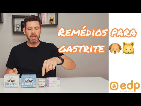 Vídeo: Os cães podem tomar antiácido?