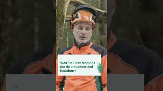 Wie schützen wir wichtige Biotopbäume? 🌲🌳 WALDWISSEN von Forstwirtschaftsmeistern