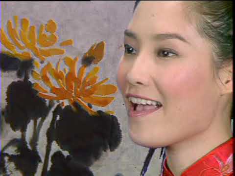 中華寶寶 勇闖新一年 小鳳鳳 又見秋蓮 專輯預告片