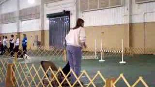 Brig Directed Jumping 1