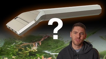 Is This the Best Algae Removal Tool Never Made? | UNDR