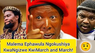 Download lagu Julias Malema Ngeyokuxoshwa KwaNgizwe!