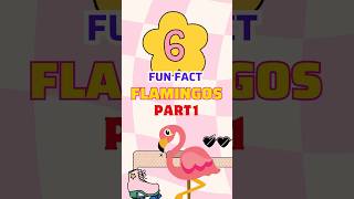 Download Lagu 6 fun facts about Flamingos P1 #englishsingsing #animals #wildanimals #shortvideo #shorts MP3