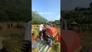 WORK IN VIỆT NAM #travel #checkin #dulichcuocsong #vietnam #dulichvietnam