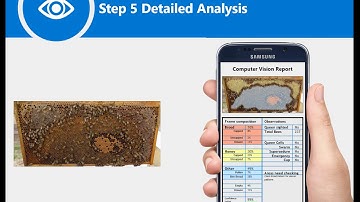 Computer Vision for bee hives