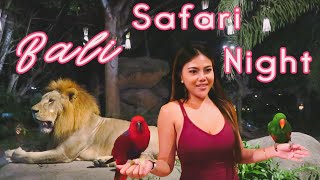 Bali Safari Night Adventure @vitabella1748 at Bali Safari and Marine Park