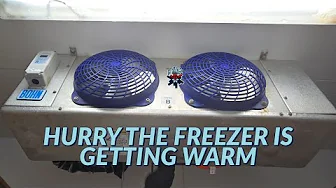 HURRY THE WALK IN FREEZER IS GETTING WARM