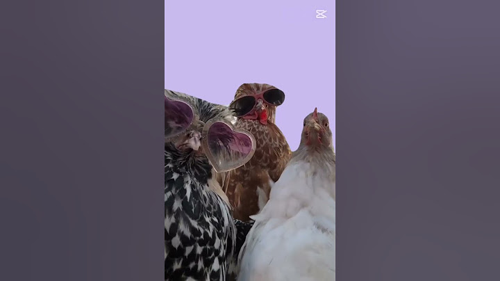 io e i miei cugini che ci sentiamo i più belli a carnevale ma abbiamo i costumi piu' brutti✌️