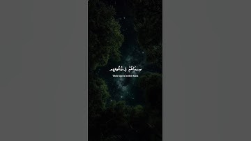 اكتب شيء تؤجر عليه 💚😴 / القارئ ياسر الدوسري | قران كريم