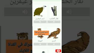 اسماء الطيور باللغة العربية the birds #shorts #اللغة_العربية @t3alm713 #short