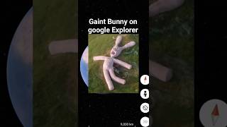 😱😶‍🌫️Gaint Bunny on google map and google earth🗺️#short #reel #explore #mystery #googleearth #map
