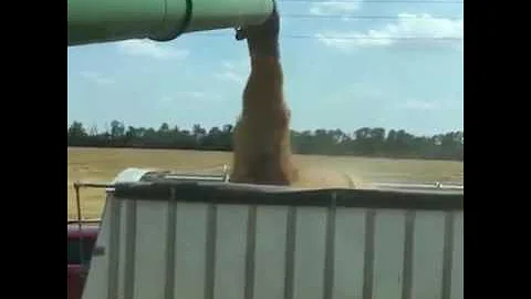 Wheat harvest in Rice County, Kansas with Doug Kee...