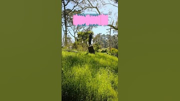 what’s ur favorite song on the EP so far? #ableton #touchdesigner #electronicmusic #housemusic