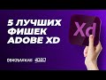 УРОКИ ADOBE XD: САМЫЕ ВАЖНЫЕ ФУНКЦИИ