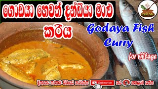 ගොඩයා හෙවත් දන්ඩි මාළු කරිය Godaya DandiyaFish Curry@GAMIRASA