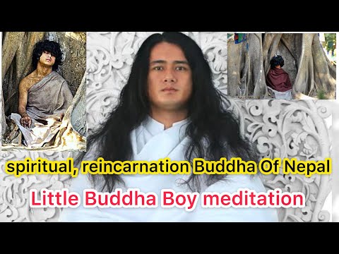 Video: Ram Bahadur Bamjan. Incarnazione Vivente Di Buddha - Visualizzazione Alternativa