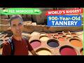 I Visited WORLDS Biggest 900 Year Old TANNERY In Fez MOROCCO Travel Vlog 