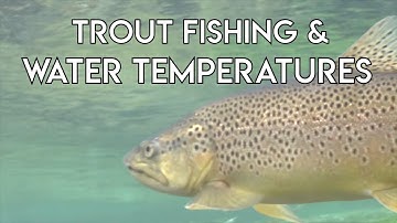 Trout Fishing & Water Temperatures | Tom Rosenbauer