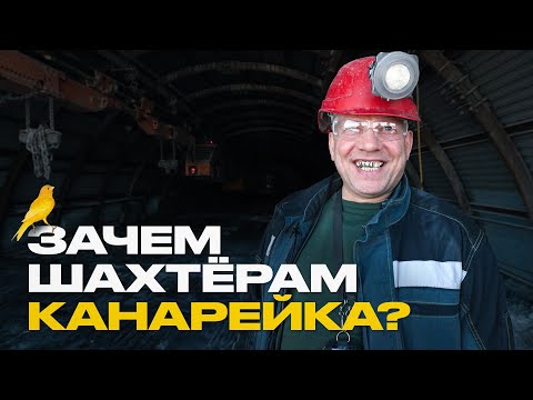 Всё, что вы не знали о шахтёрах. Зарплата, опасности и "плюшки" профессии.