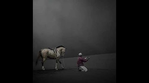 سورة طه آيه 56 إلى آيه 58