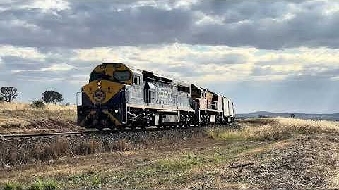 6CM4 with C503-BRM001-CLP12 at Yeo Yeo 