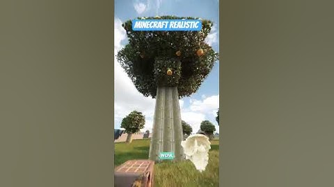 Minecraft Realistic Graphics Rtx #minecraft #realistic #shorts #viral