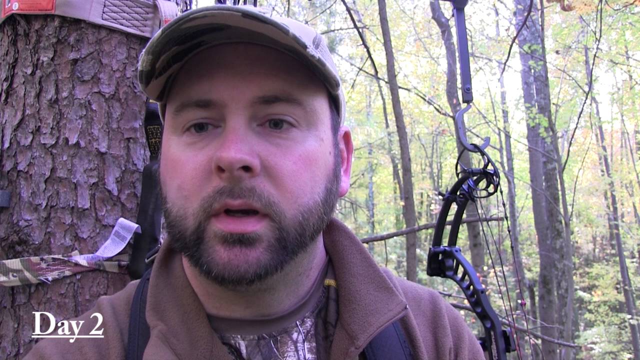bow hunting deer and muzzleloading hunting maryland YouTube
