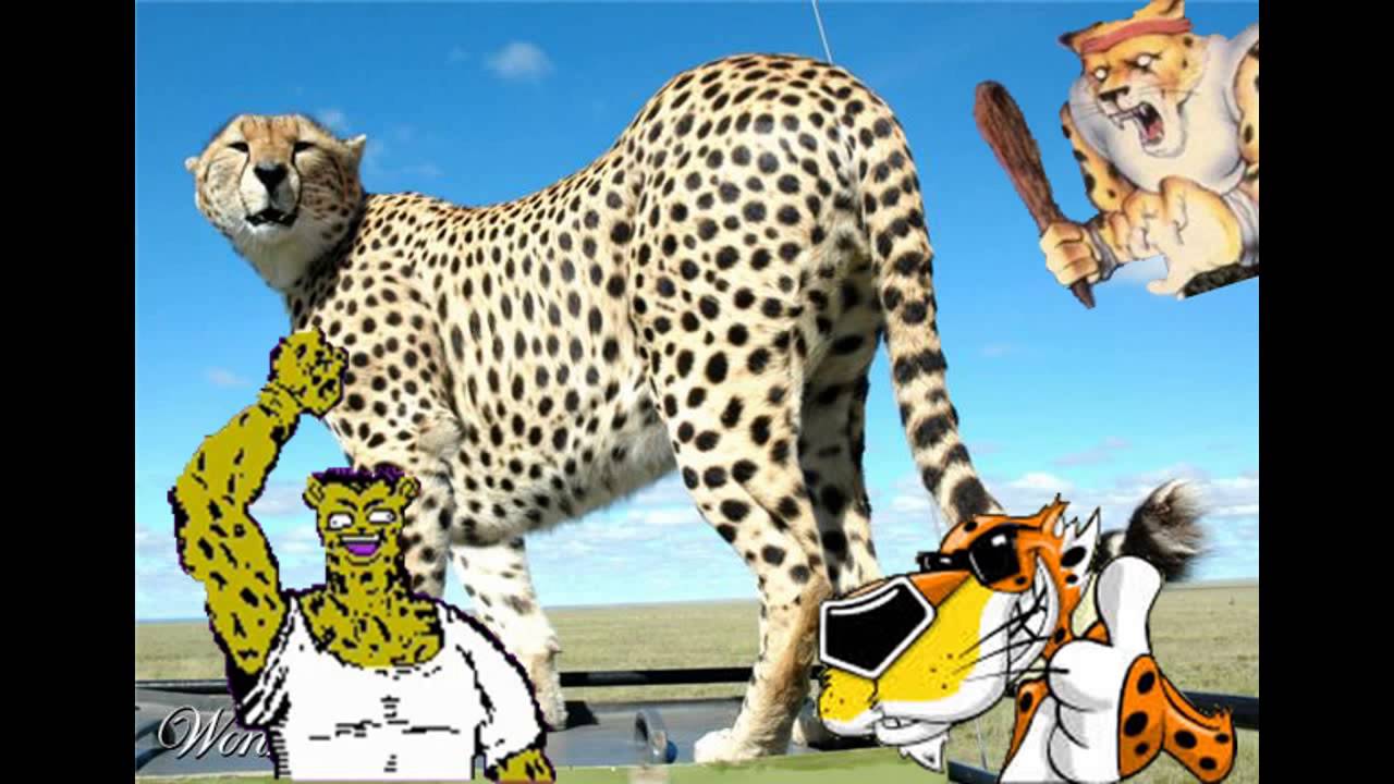 Too Much Cheetah In The Men (2 Live Crew vs Action 52) - YouTube
