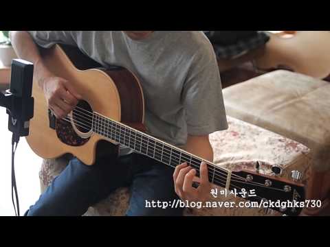 Larrivee LV-03RE Strum/원미사운드