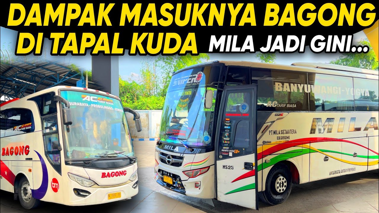 TAPAL KUDA KOK JADI GINI ‼️ DAMPAK BAGONG DI TAPAL KUDA SANGAT TERASA🔥Trip Report Bus MILA Sejahtera