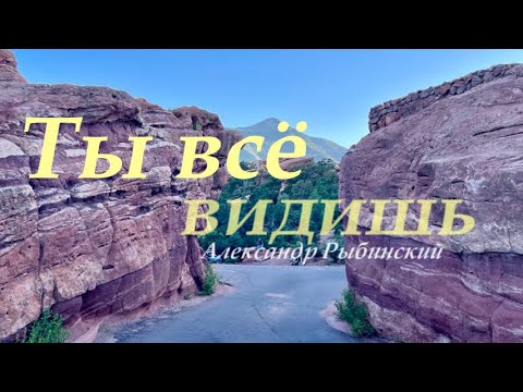 ТЫ ВСЁ ВИДИШЬ. Александр Рыбинский.