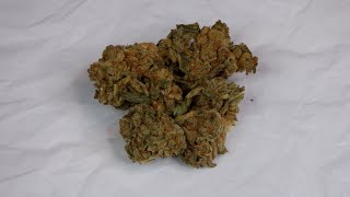Strain Review Frozen Lemons By Edison Cannabis Co