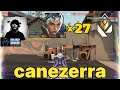 ENVY canezerra - 400 ACS WITH 44% HS | Waylay on Split