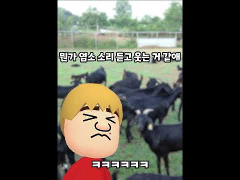 5%만 맞춘다는 염소 or <strong>사람</strong> <strong>소리</strong> 맞추기