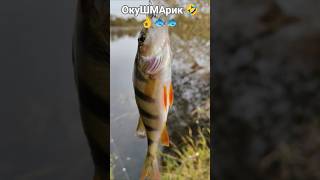 РЫБАЛКА на ПОПЛАВОЧНУЮ удочку💦 природа🌿🍃 отдых🛖 лес🌲 река ☔🦞☔🦞