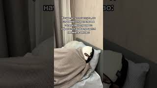 И как спать после этого?