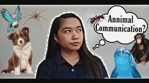 Animal Communication System