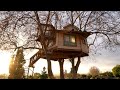 Living in a Treehouse Mansion -Treehouse Tour (1 bath, 2 bed, 3 trees)