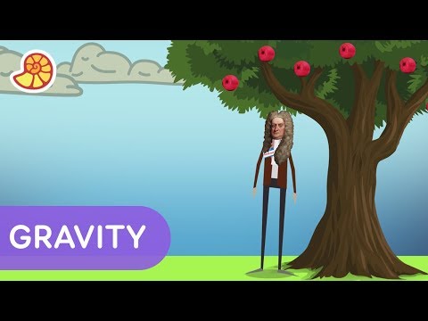 Who was Isaac Newton? | Science Max