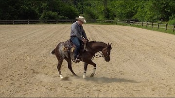 Teaching a Horse to Spin: The Forward & Around Exercise (Quick Summary)