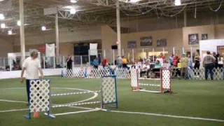 Kurt & Ali - Contact Sports Agility - USDAA 4/25/09