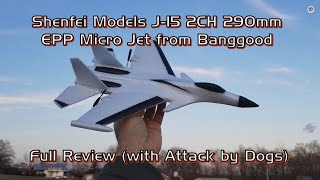 Shenfei Models J-15 2CH 290mm EPP RC Airplane from Banggood - Full Review (with Attack by Dogs)