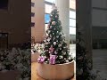 Предновогодняя МосквА❤️🌲❄️