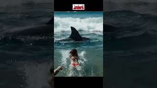 JAWS – The Shark Attack That Changed Cinema Forever 1975 Classic