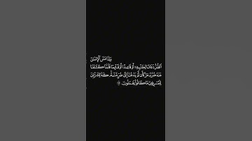 الشيخ #علي_جابر #سورة_يونس